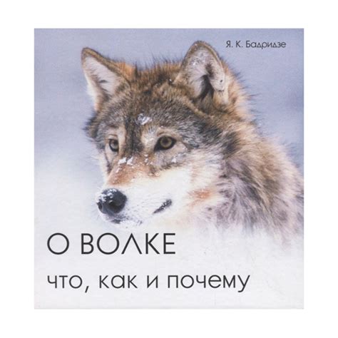 Толкование снов о волке и его рыке: что они могут означать