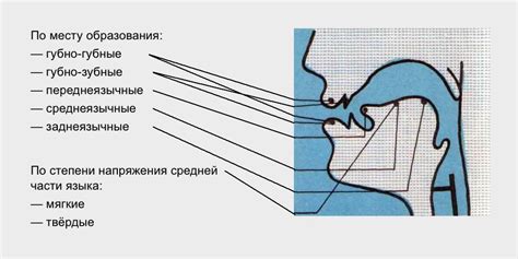 Тонкие нюансы артикуляции и произношения согласных звуков на чеченском языке