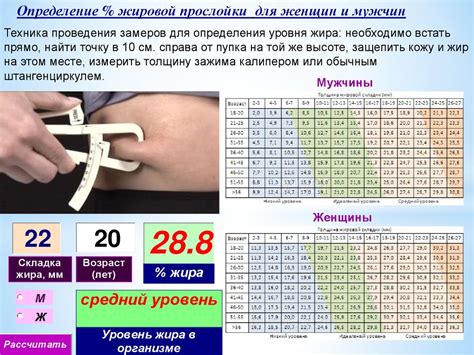 Топ-3 эффективных способа измерения процента жира у мужчин