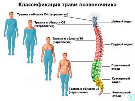 Травмы позвоночника и спины