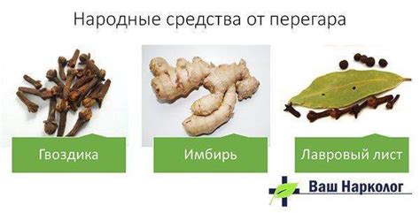 Травы и народные средства от перегара