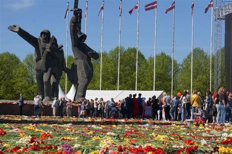 Традиционные новогодние цветы в Риге