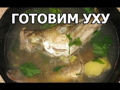 Традиционные русские ухи