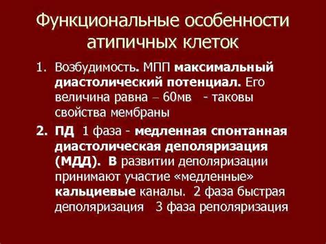 Трансдифференциация как метод нормализации атипичных клеток