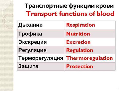 Транспортные функции крови