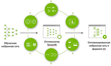 Тренировка и обучение нейронной сети