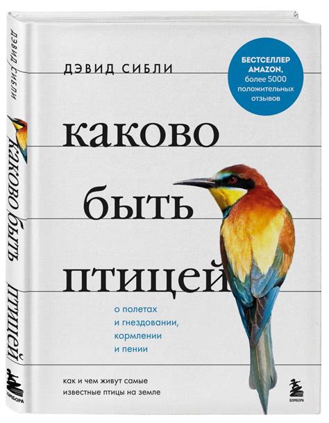 Тренировки и практика: как достичь мастерства в пении через упорный труд и упражнения