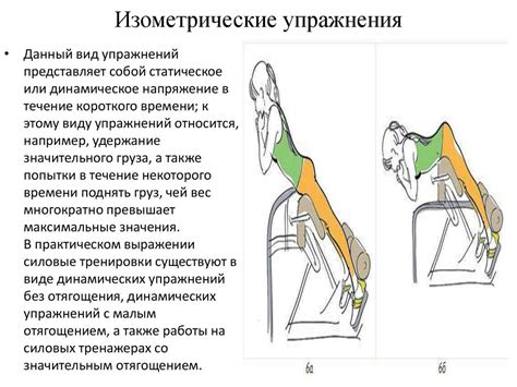 Тренировки с силовыми упражнениями