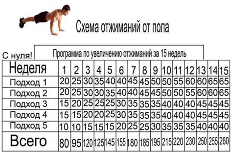 Тренировочная программа отжиманий полугоризонт