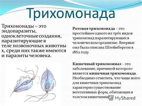 Трихомонады и геконеферы в стуле: опасность или норма?