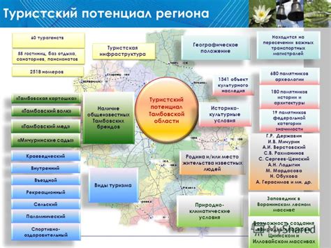 Туристический потенциал ивы в Мори