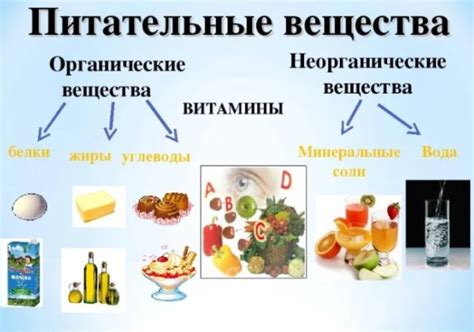 Тяга к шоколаду и дефицит питательных веществ