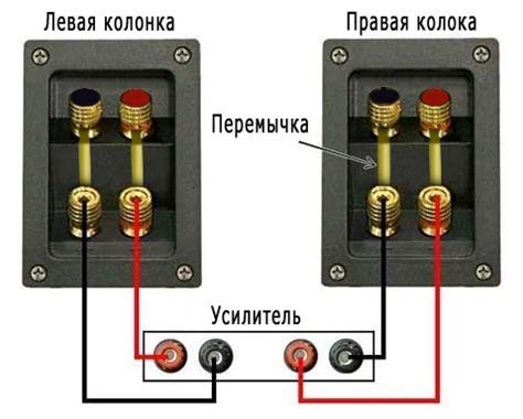 Убедитесь в правильном подключении кулера