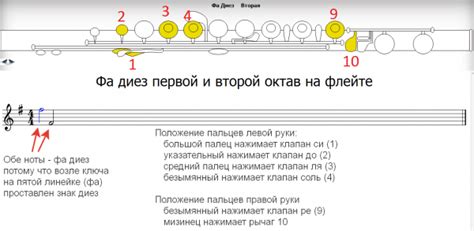 Убираем диезы на флейте: важные методы и советы