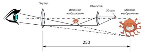 Увеличение и разрешающая способность оптического микроскопа