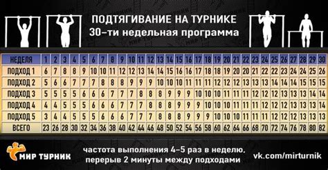 Увеличение количества подтягиваний на турнике за 2 недели