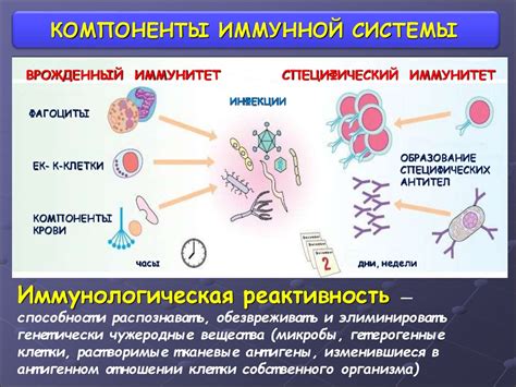 Угнетение иммунной системы