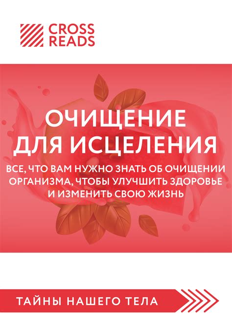 Удаление аккаунта ЛитРес: все, что вам нужно знать