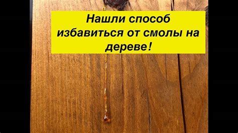 Удаляем смолу с поверхности дерева уксусом: простые и эффективные способы