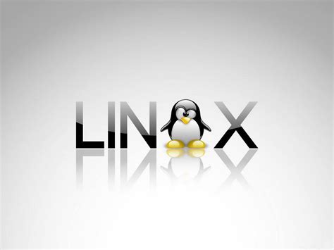 Удалять директории в Linux, основываясь на условиях