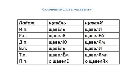 Ударение в слове щавель: примеры