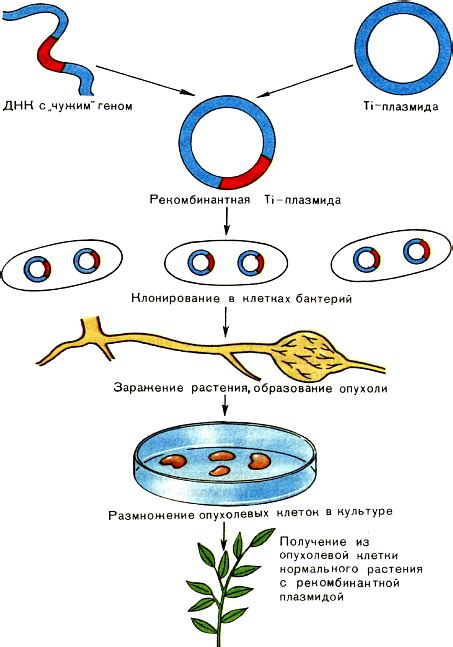 Удачные примеры смешивания ДНК животных