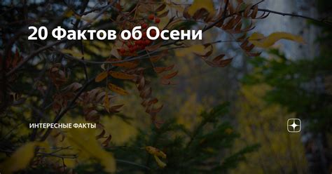 Удивительные факты об осени