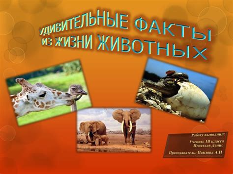 Удивительные факты о животных