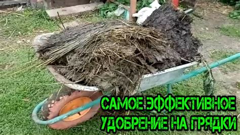 Удобрение грядки