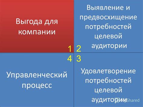 Удовлетворение потребностей целевой аудитории