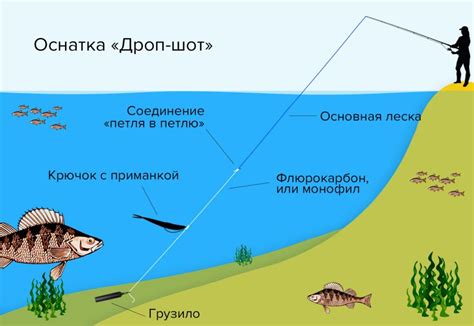 Узнаем, что такое дроп шот и зачем его используют