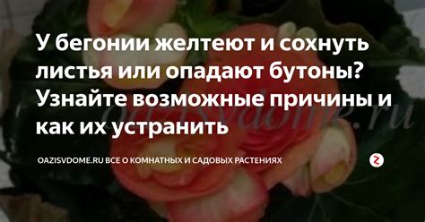 Узнайте возможные причины и действия