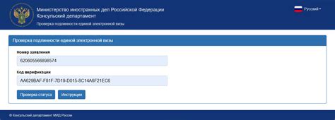 Узнайте все способы проверки электронной визы