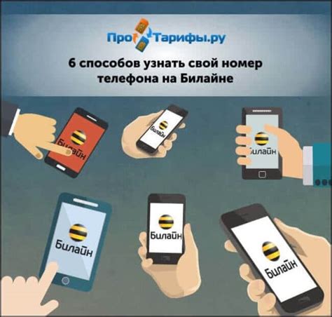 Узнайте свой номер Мегафон на телефоне Билайн через SMS-сообщение