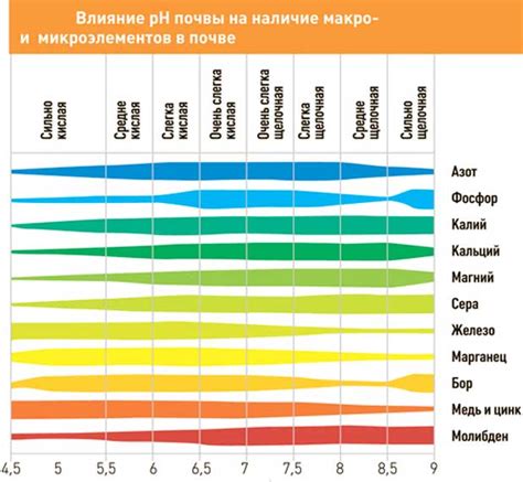 Узнайте точное значение рН почвы вашего участка