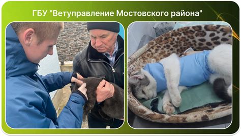 Указываем на популярные места появления бездомных котят