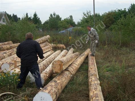 Укладка бревен в прицеп