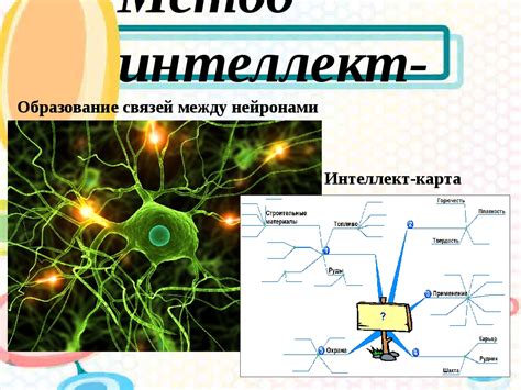 Укрепление связей между нейронами посредством визуализации