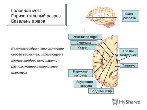 Укрепление ядра тела