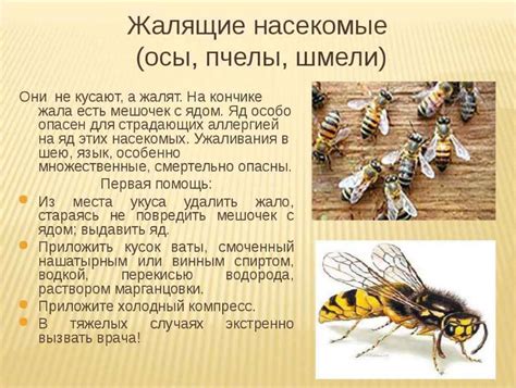 Укушенная рука от пчелы: истолкование важности самозащиты и заботы о себе