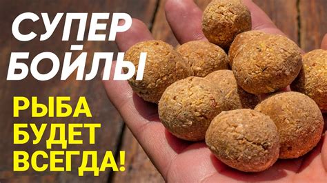 Уловистые рецепты бойлов для сазана