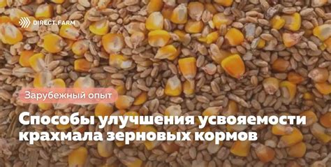 Улучшение переносимости и усвояемости сырья