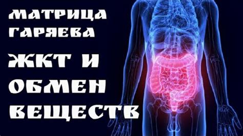 Улучшение работы ЖКТ и обмена веществ