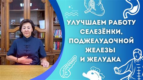 Улучшение работы желудка