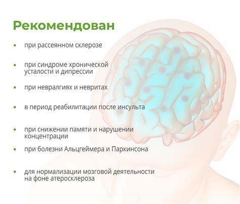 Улучшение работы нервной системы