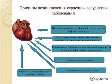 Улучшение сердечно-сосудистой системы благодаря DHA