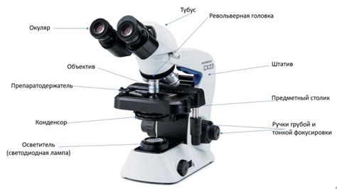 Ультрафильтры: ключевой элемент в системах микроскопа