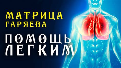 Умения и экипировка для лечения