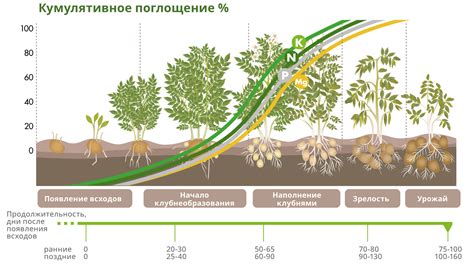 Уменьшение поглощения питательных веществ