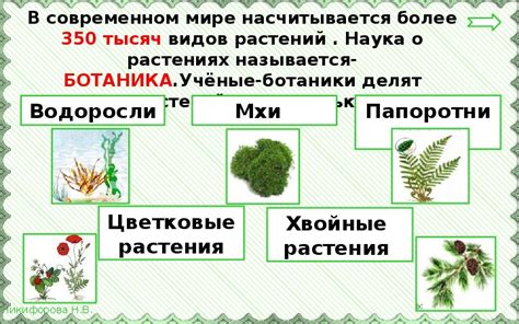 Уникальное разнообразие растений